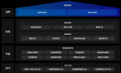 洞見未來，駕馭數據 國內優秀數據治理服務商及軟件開發指南
